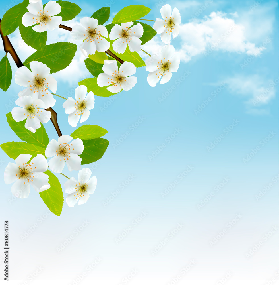 Nature background with blossoming tree brunch and blue sky. Vect