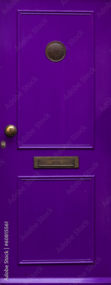 Fototapeta premium house door