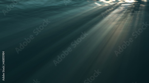 水中の風景