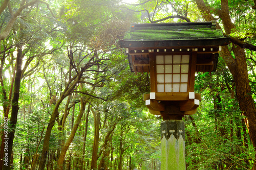 Japanese lantern in park © leungchopan