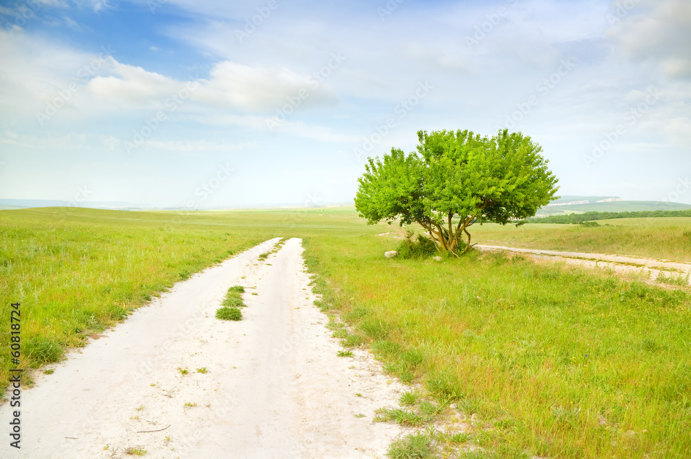 Road amongst green meadow Road amongst green meadow