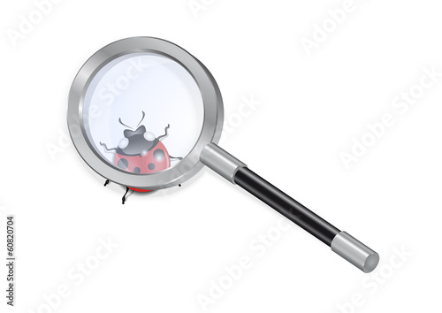 Magnifying glass and ladybird