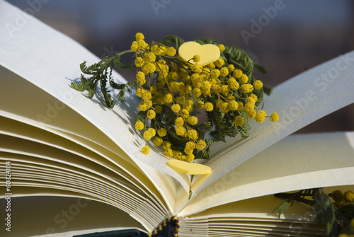 MimosaBook