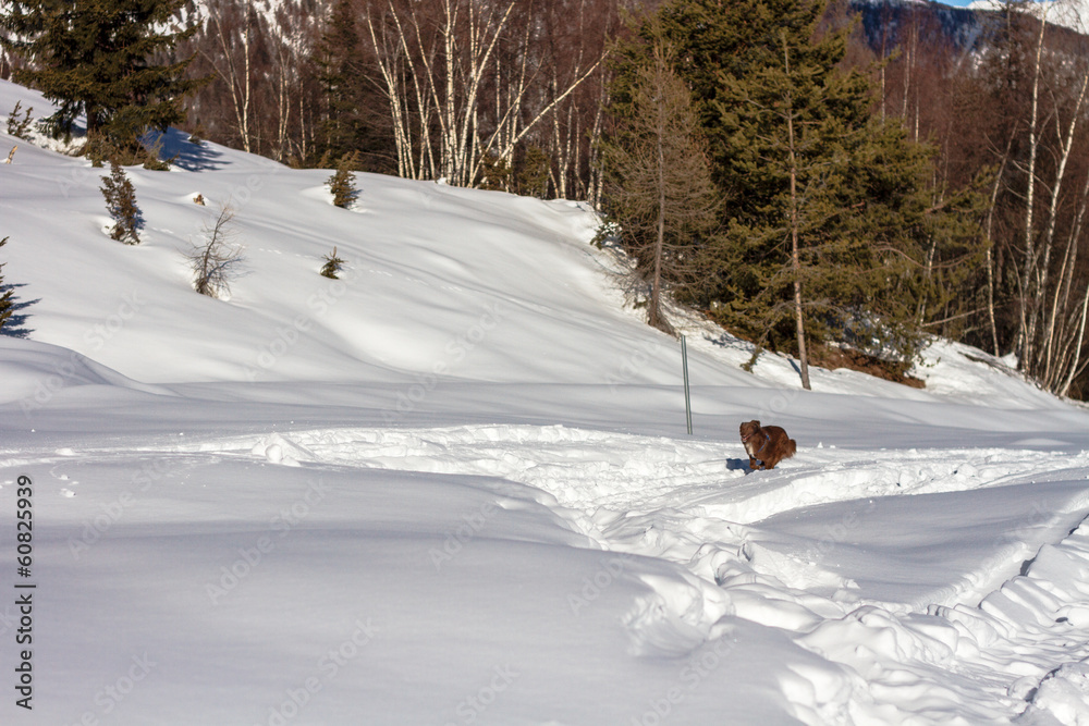 Vacanze invernali Vacanze invernali