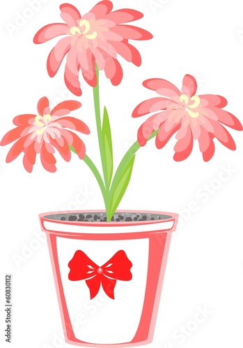 Spring flower in a flowerpot
