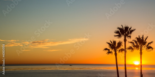Canvas-taulu Pacific Sunset