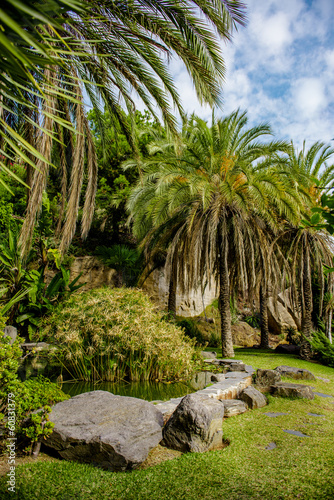 Beautiful nature. Nerja  Spain