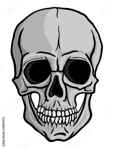 Human Skull vector