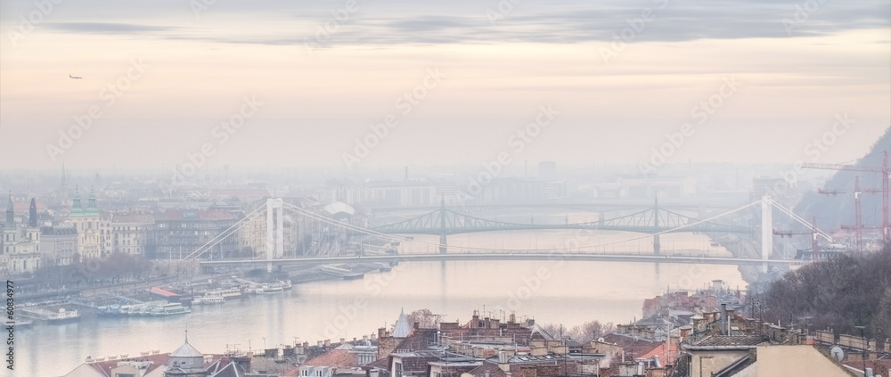Panoramic view of city Budapest