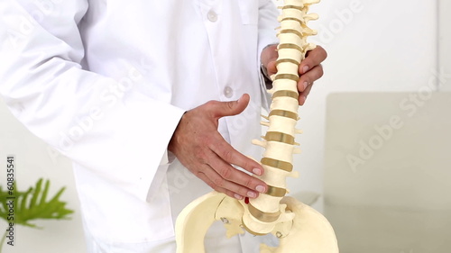 Chiropractor showing spine model to camera