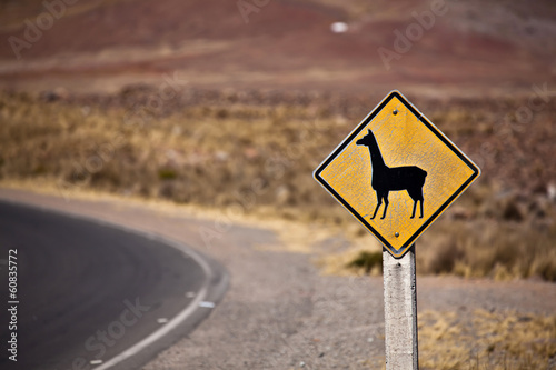 alpaca road sign