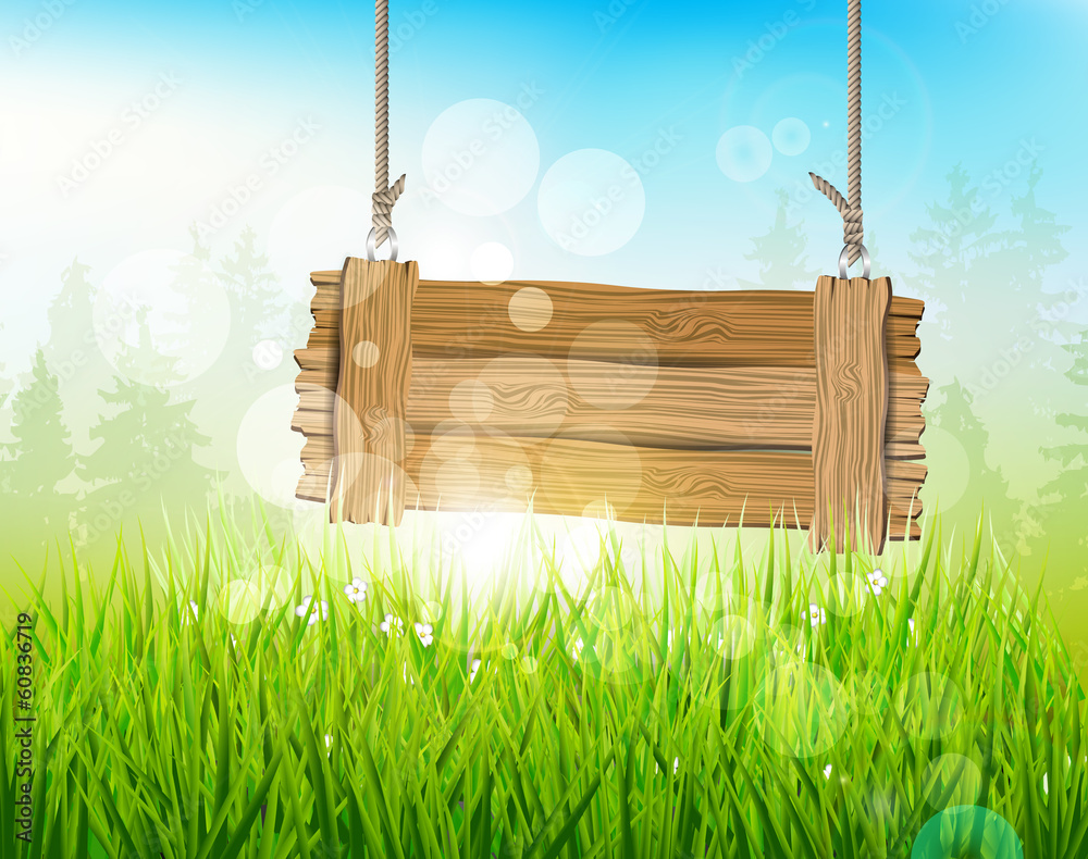 Spring morning - background with empty wooden sign - obrazy, fototapety, plakaty 