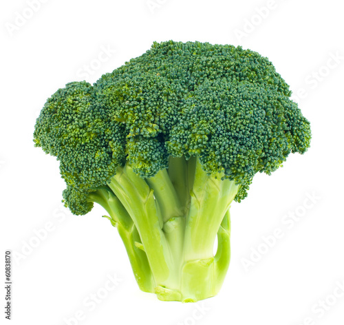 fresh broccoli on a white background