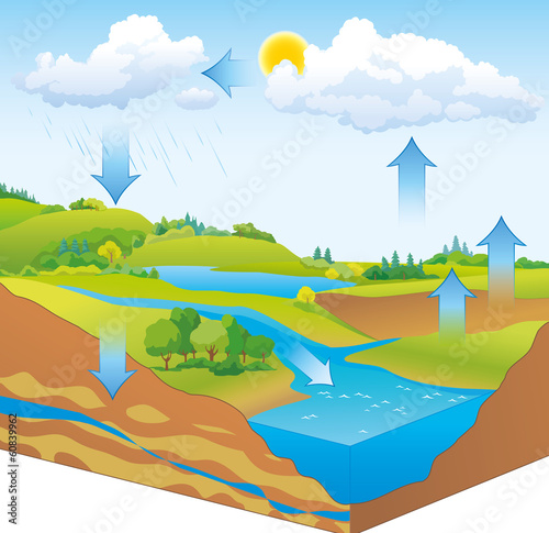 Vector schematic representation of the water cycle in nature