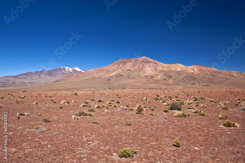 Bolivia volcanic desert