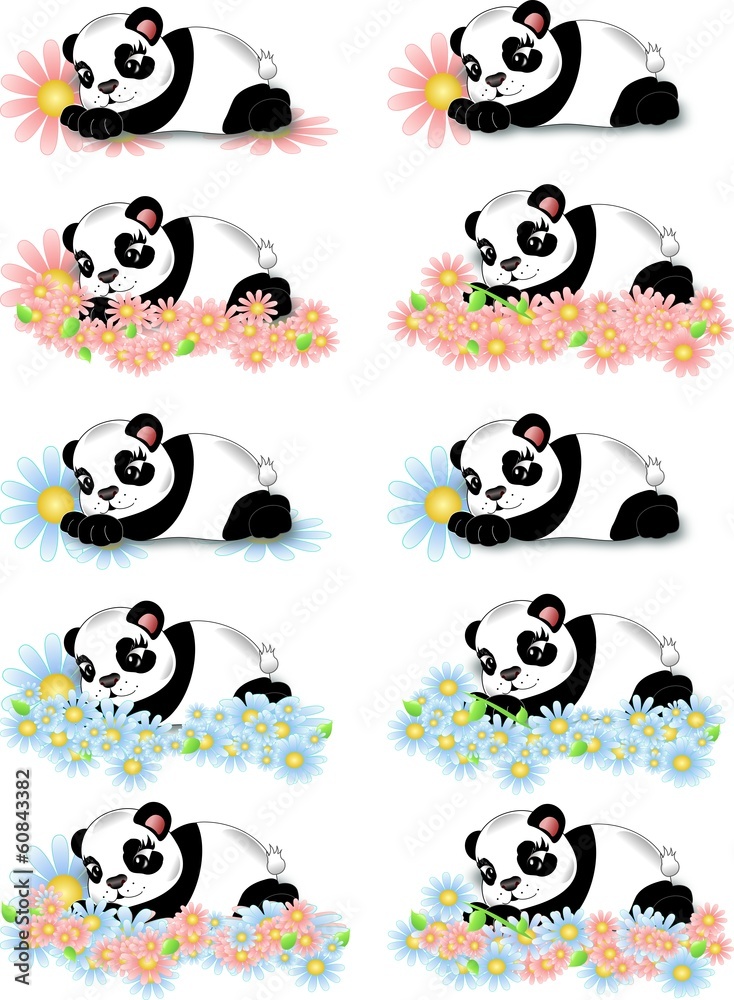 Pandas with flowers Pandas with flowers