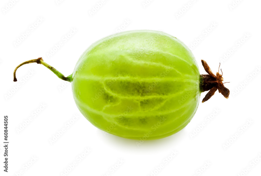 Gooseberry