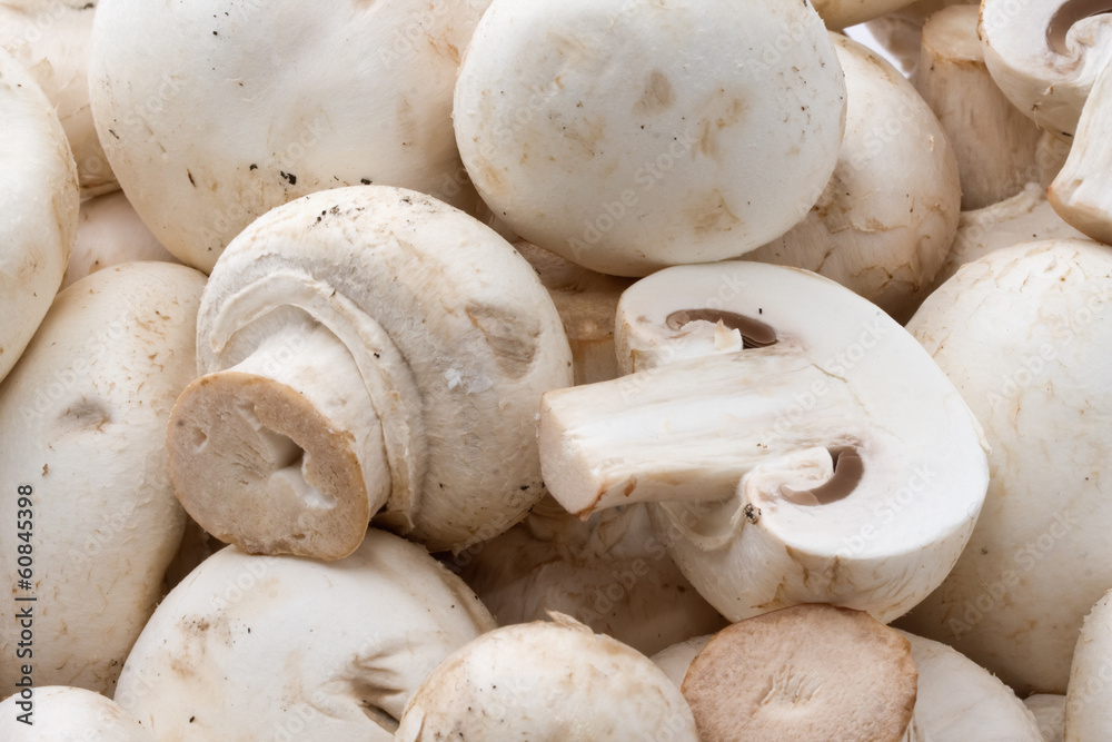 Champignon mushrooms Champignon mushrooms