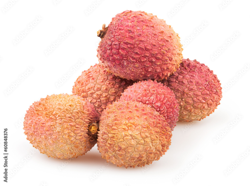 litchi group litchi group