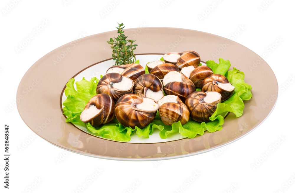 Escargot