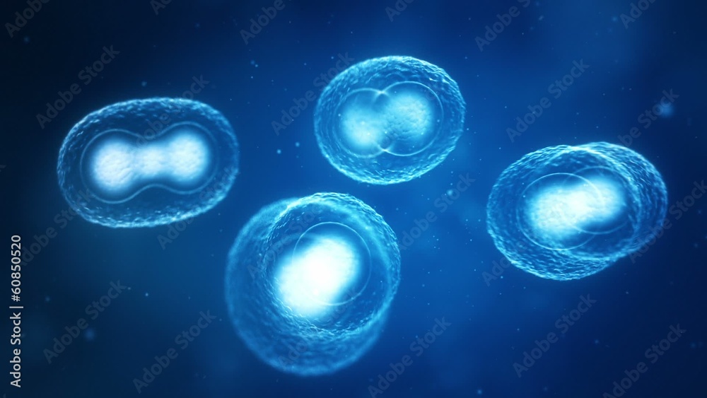 Dividing Cells