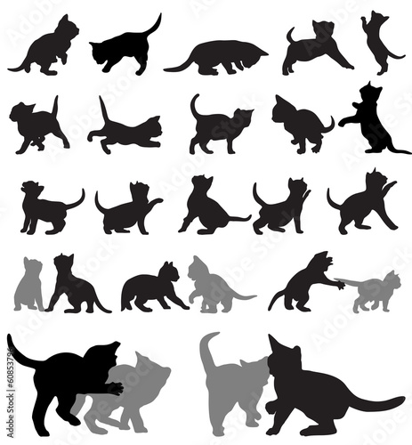 Fototapeta Naklejka Na Ścianę i Meble -  Kitten silhouettes
