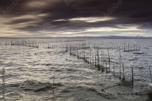 fishing nets in a lake