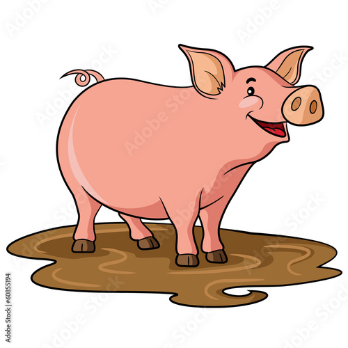 Pig Cartoon