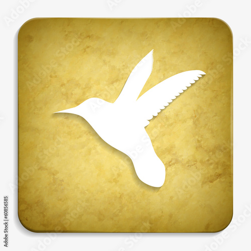 colibri parchment icon