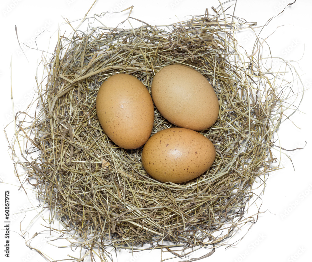 Fresh eggs in nests for cooking Fresh eggs in nests for cooking