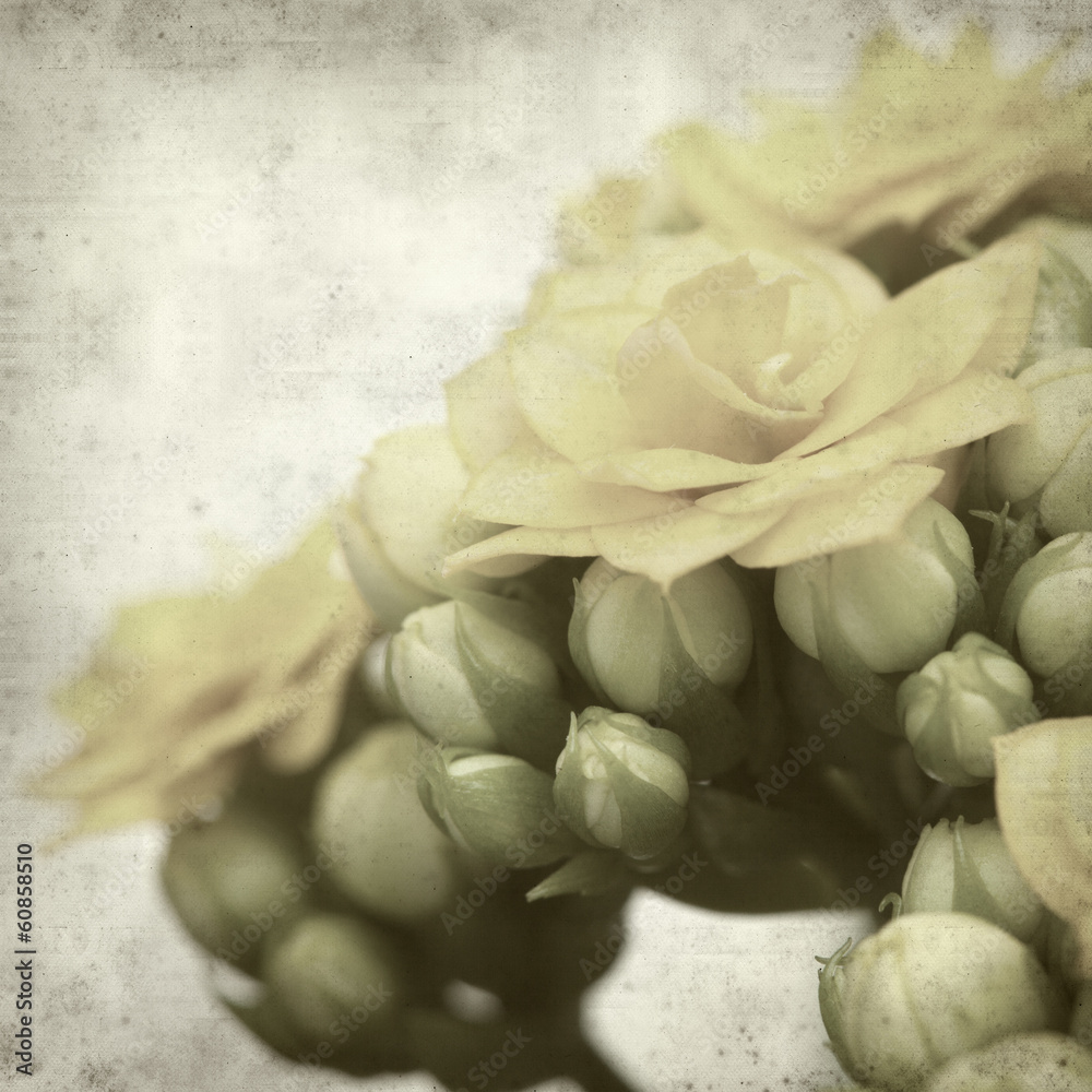 textured old paper background textured old paper background