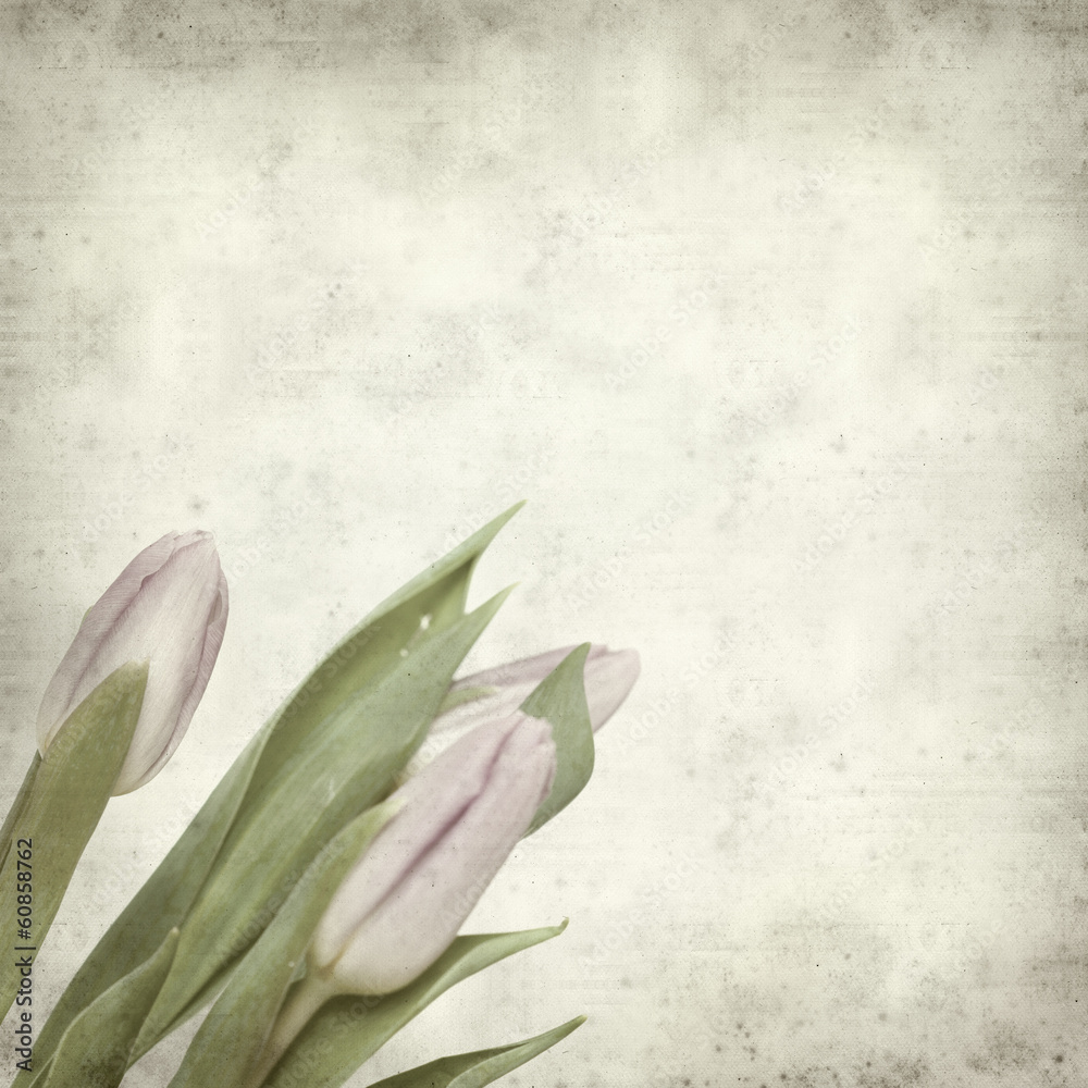Obraz premium textured old paper background