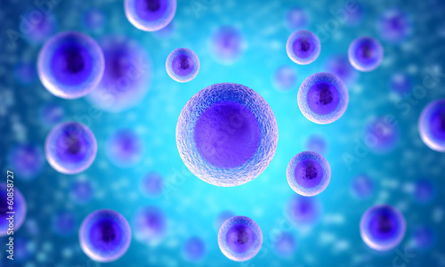 illustration of human cells photo