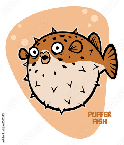 puffer fish