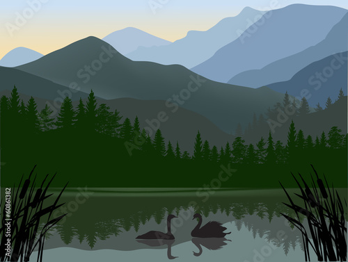 two swans in mountain lake