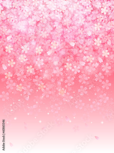 桜　さくら　背景