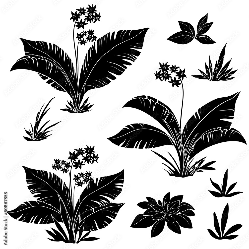 Flowers and grass set, silhouettes