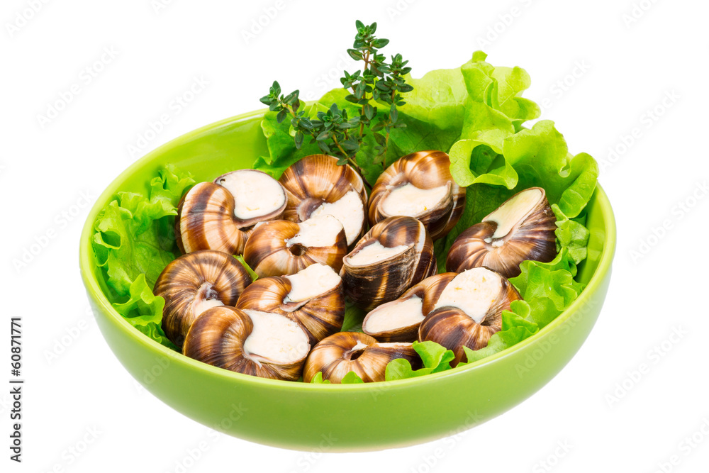 Escargot Escargot