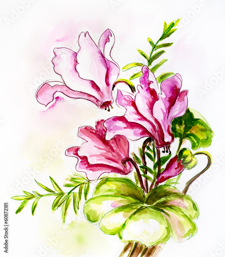 Cyclamens. Watercolor painting.