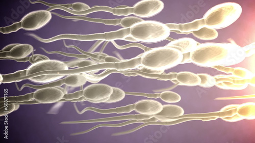 Sperm attack. photo