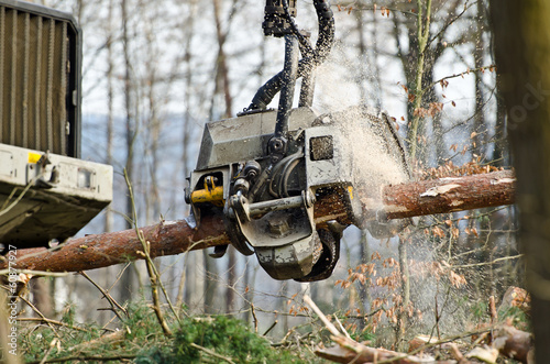 Arbeitskopf eines Holzvollernters photo