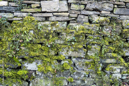Moos auf Natursteinmauer