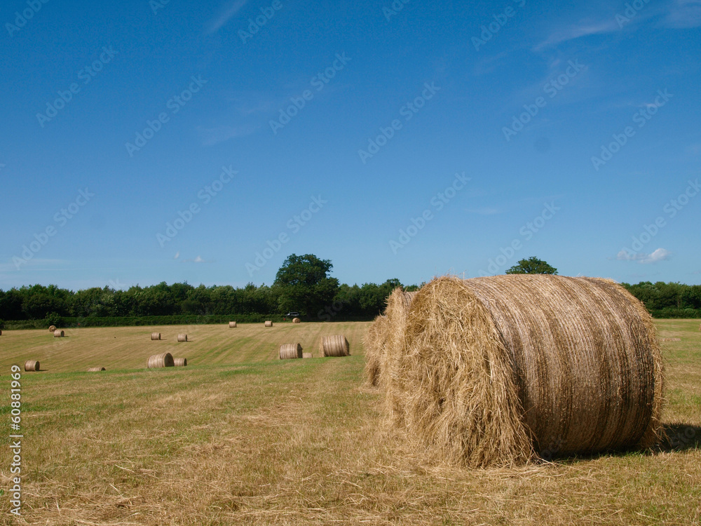 Bales of Hay