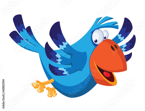 funny bird