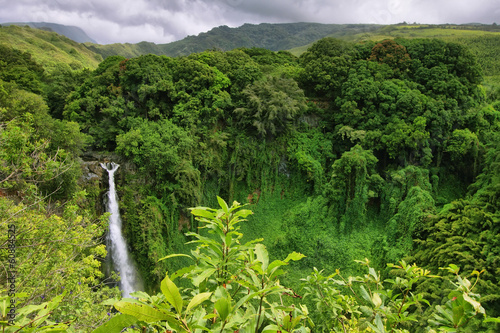 Makahiku falls in Waimoku falls trail, Maui islad, Hawaii #60884525