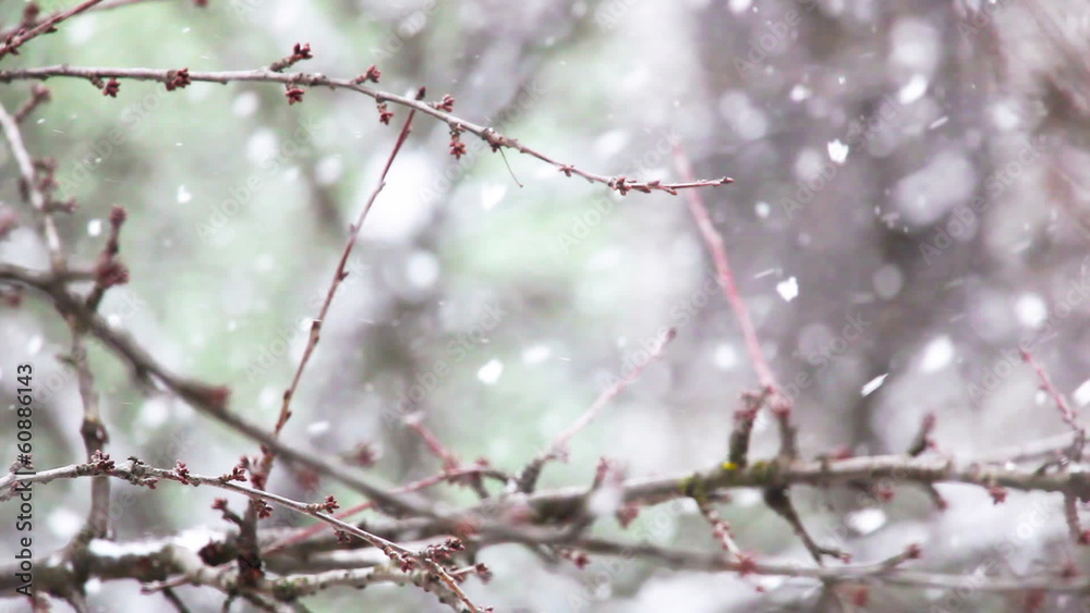 Winter Winter