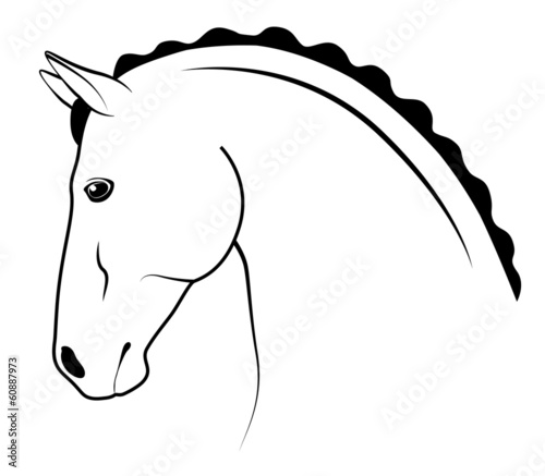 Show horse head