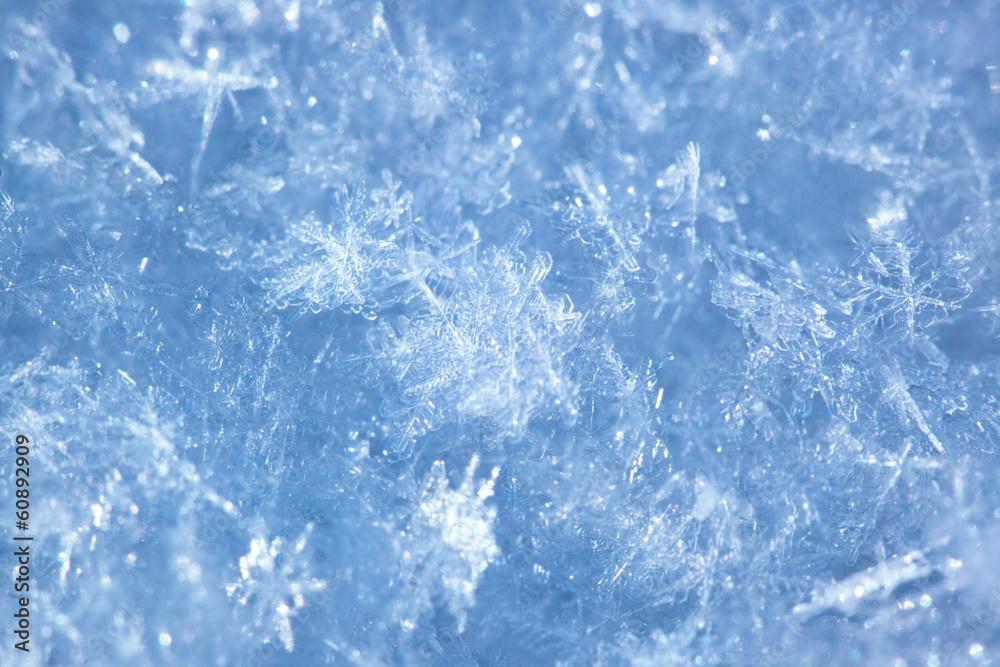 Fototapeta premium Snowflakes