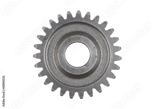 One steel cog gear isolated on white