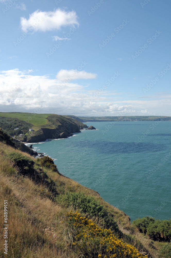 Coastal path above Llangrannog. Cardigan Bay Coastal path above Llangrannog. Cardigan Bay